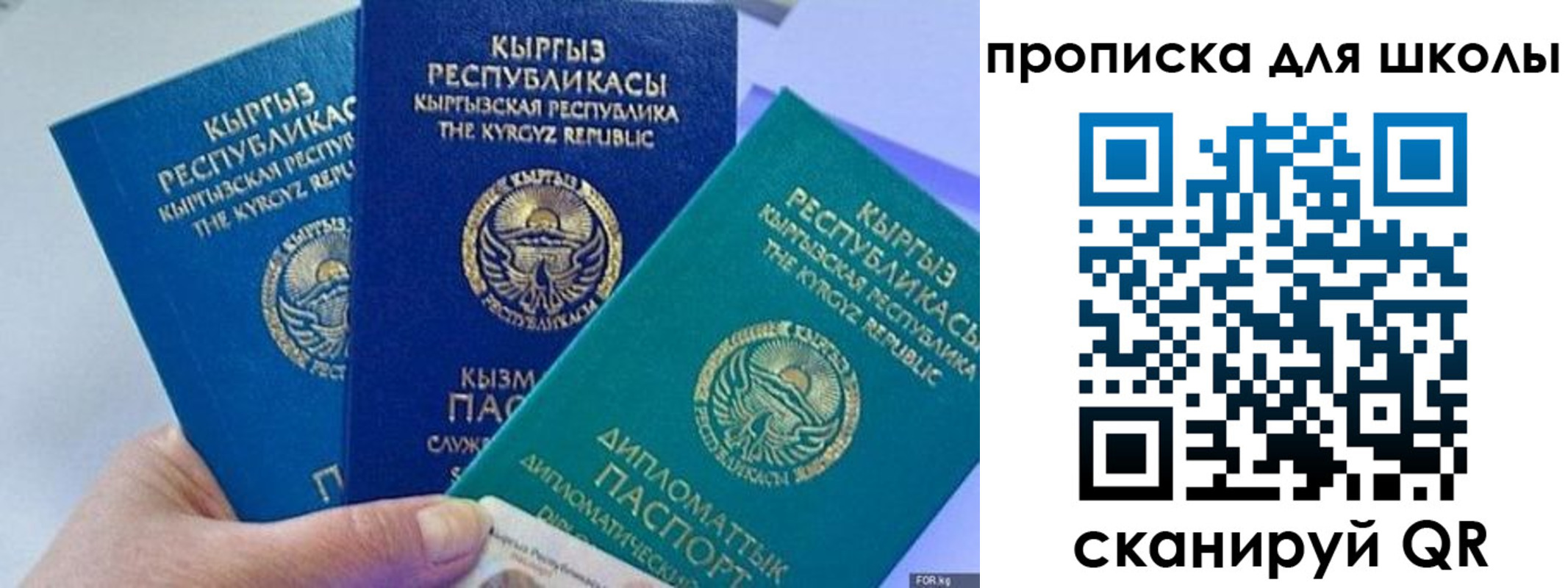 прописка регистрация в Павловске
